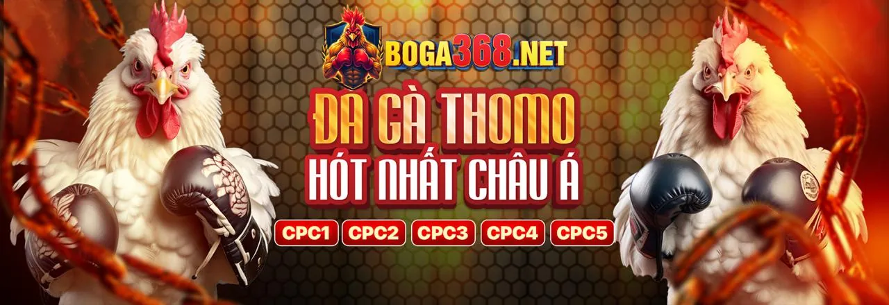 Đá Gà Trực Tuyến w678