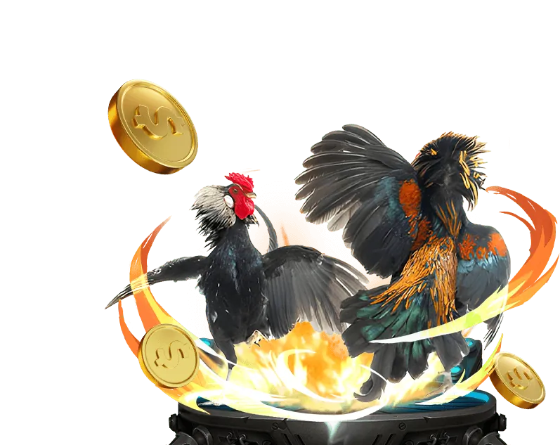 Tổng quan trò chơi đá gà trực tuyến vnd88