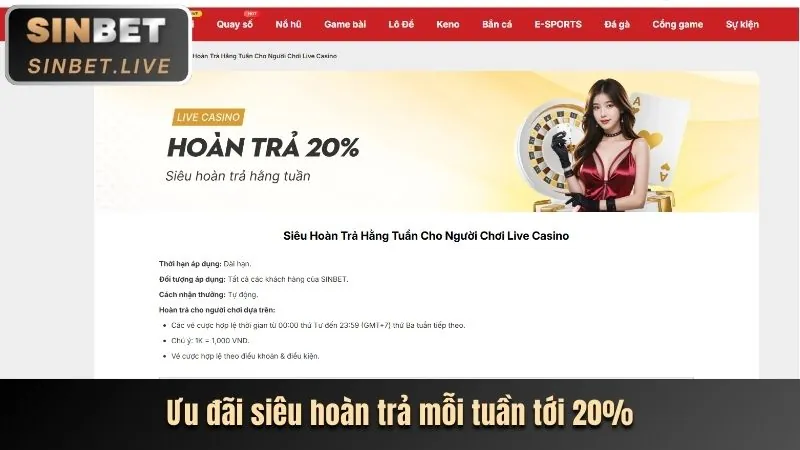 Ưu đãi độc quyền dành cho thành viên VIP w678
